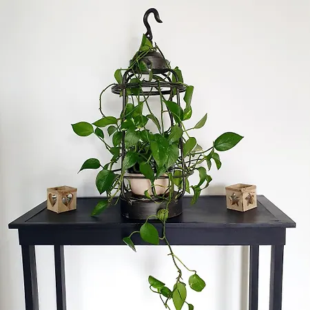 Chateau D'espalungue, Piscine Et Apartment Dognen