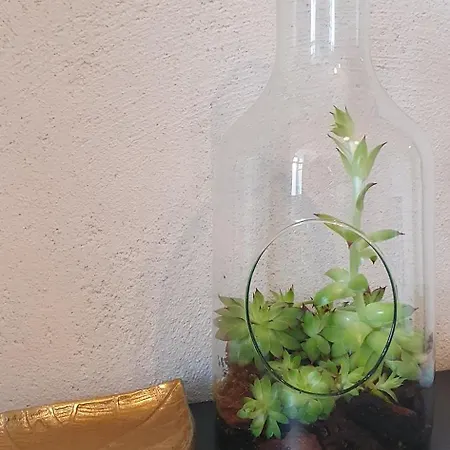 Chateau D'espalungue, Piscine Et *