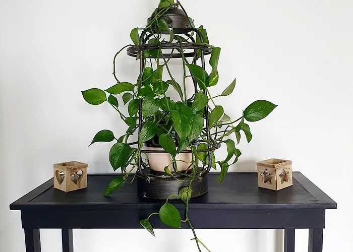 Chateau D'espalungue, Piscine Et 아파트 Dognen