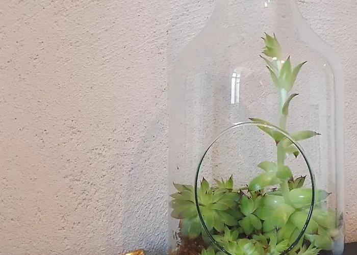 Chateau D'espalungue, Piscine Et *